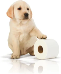 Page Toiletpapier - 32 Rollen - Kussenzacht Wc Papier (3-laags) - Voordeelverpakking 20 Page Toiletpapier - 32 Rollen - Kussenzacht Wc Papier (3-laags) - Voordeelverpakking -Woonwinkel 1001x1200 2