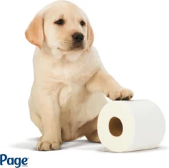 Woonwinkel -Woonwinkel 1200x1188 6