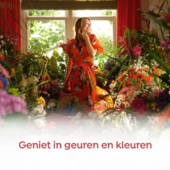 Robijn Klein & Krachtig Rosé Chique Vloeibaar Wasmiddel - 8 X 19 Wasbeurten - Voordeelverpakking -Woonwinkel 1200x1200 74