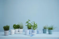 Mepal – Kruidenpot Twin - Wit – Automatische Bewatering – Altijd Verse Kruiden In De Keuken – Ook Geschikt Voor Planten -Woonwinkel 1200x798 4