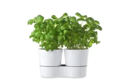 Mepal – Kruidenpot Twin - Wit – Automatische Bewatering – Altijd Verse Kruiden In De Keuken – Ook Geschikt Voor Planten -Woonwinkel 1200x799 21