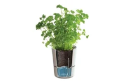 Mepal – Kruidenpot Twin - Wit – Automatische Bewatering – Altijd Verse Kruiden In De Keuken – Ook Geschikt Voor Planten -Woonwinkel 1200x800 41