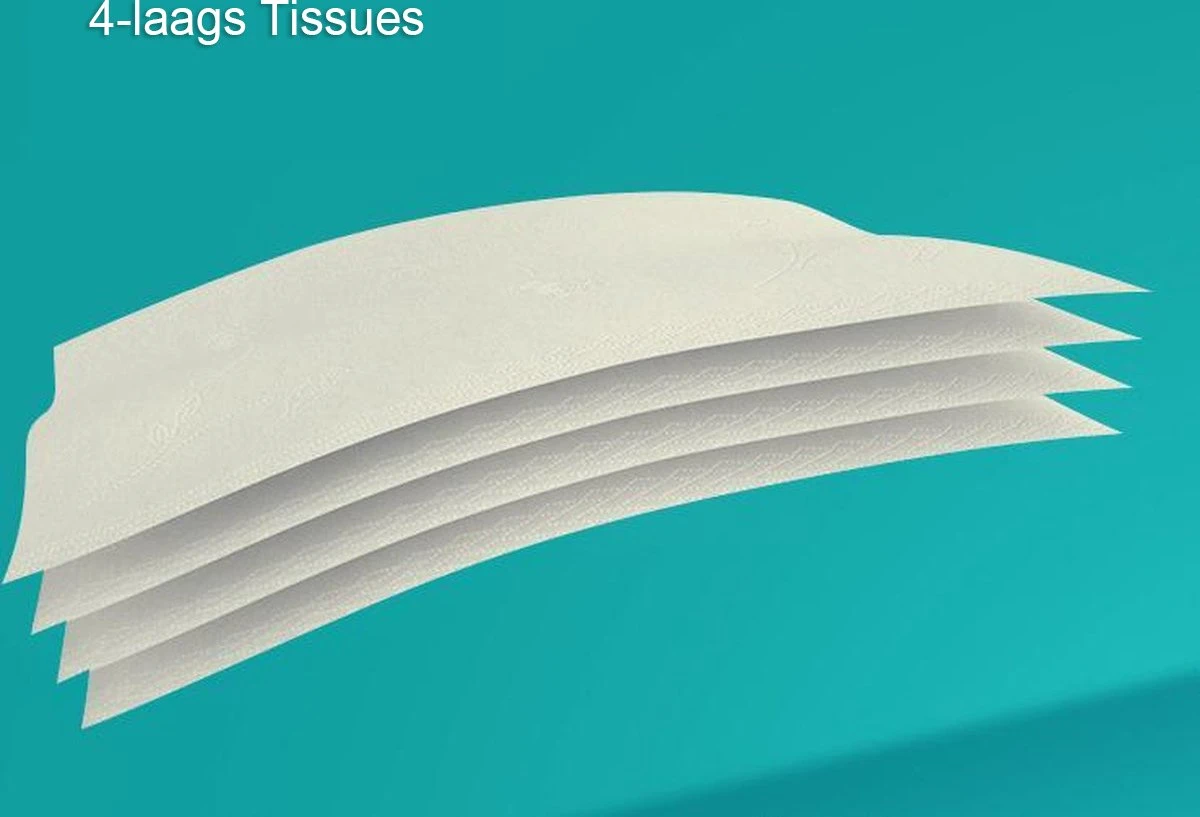 BAMTIME Bamboo Tissues Doos 4-laags Tissues / 90pcs 16box -karton 5 BAMTIME Bamboo Tissues Doos 4-laags Tissues / 90pcs 16box -karton - Afbeelding 5